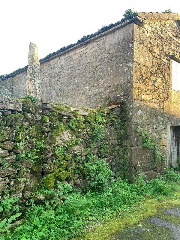 Reabilitação de Moradia em Pedra - 5